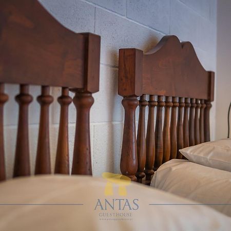 Antas Guest House إسبونسيندي المظهر الخارجي الصورة