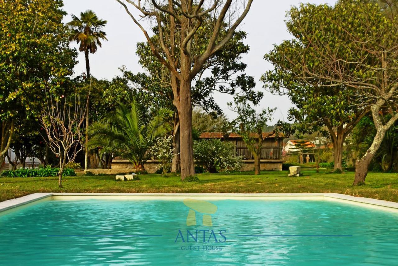 Antas Guest House إسبونسيندي المظهر الخارجي الصورة